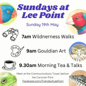 24 05 Sundays at Lee Point - Animals