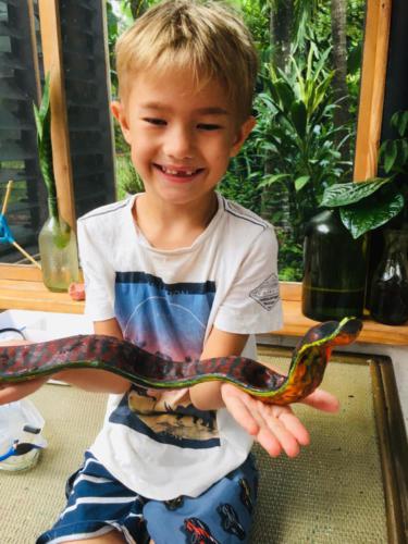 016-1 The Tree Snake by Daniel Ellard