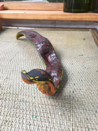 016-2 The Tree Snake by Daniel Ellard