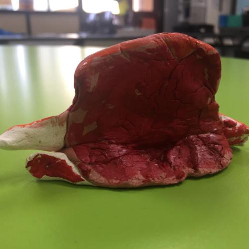 034-2 - Crabby Pants by DE