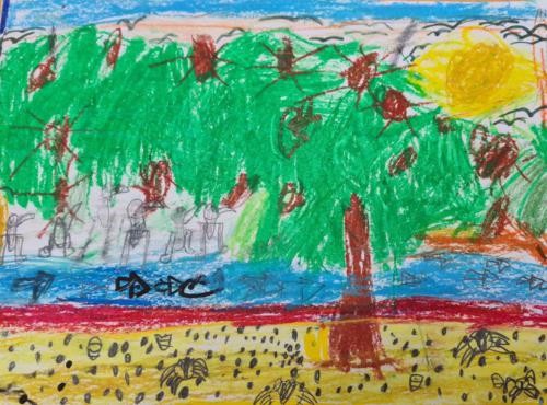 062 - Casuarina Trees by Darius Chung