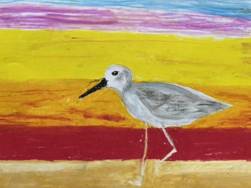 063 - Migratory Birds- Marsh sandpiper by Caitlin