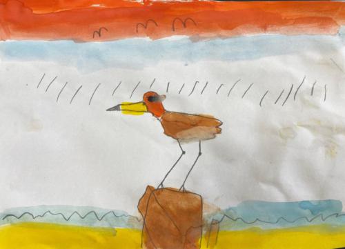 066 - Lee Point Bird by Alexander Calderon