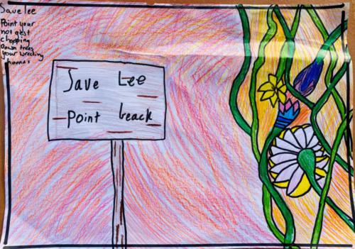 087 - Save Lee Point Beach by Indy Folkers