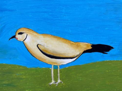 088 - Shore Bird by Kezia