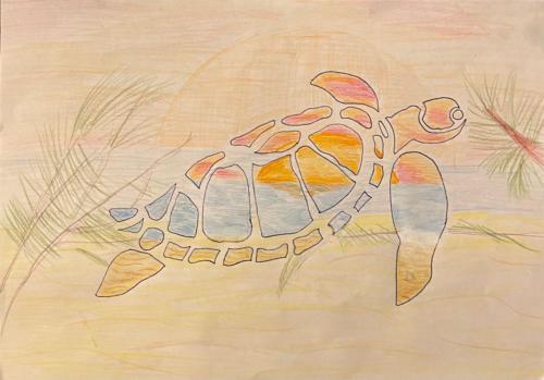 116-1 Turtle Sunset by Aria Richardson