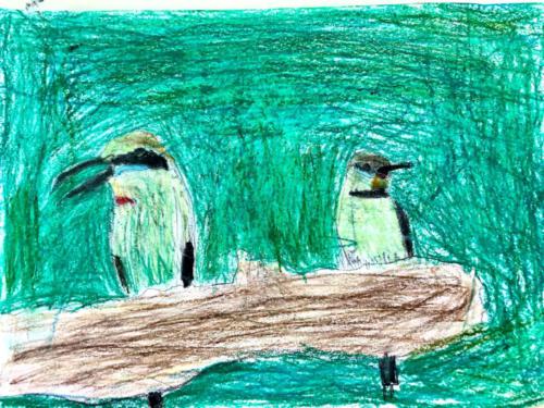 144 - Rainbow Bee-Eaters by Frank Rodda