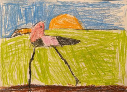 163 - The Paradise Bird by Amelia Lyness