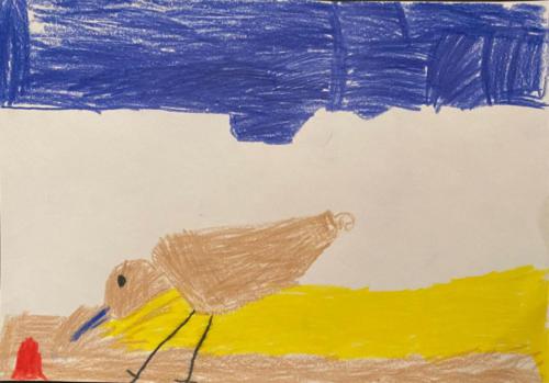 165 - Bird Searching for Food. by Lachlan