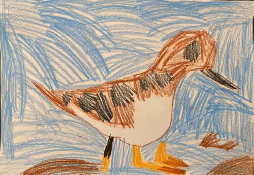 166 - The Bird in the Sea by Soham