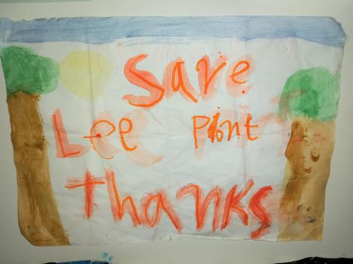 191 - Save Lee Point Please